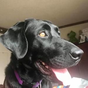 Meet your Posher, Jon